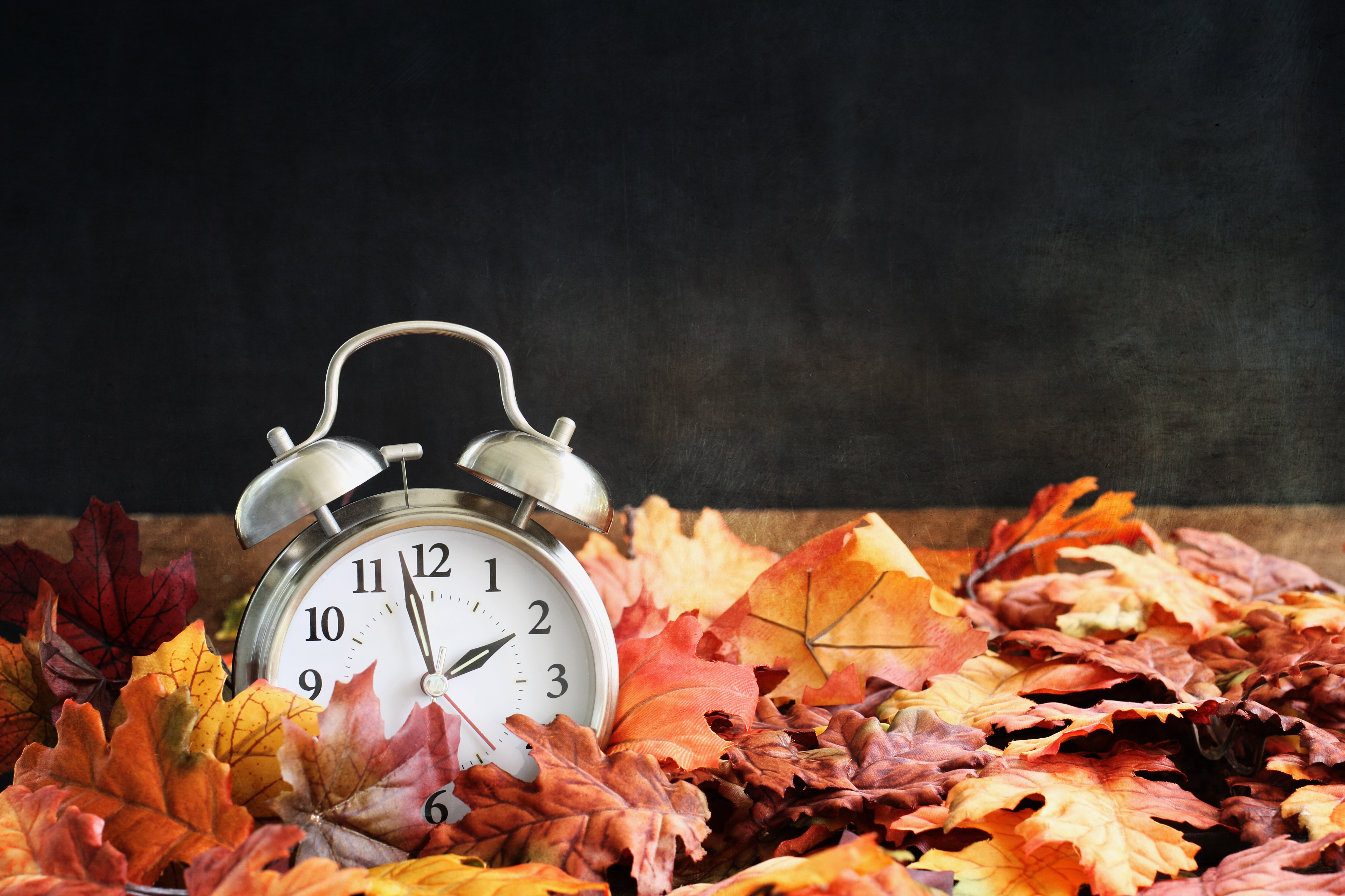 time fall back 