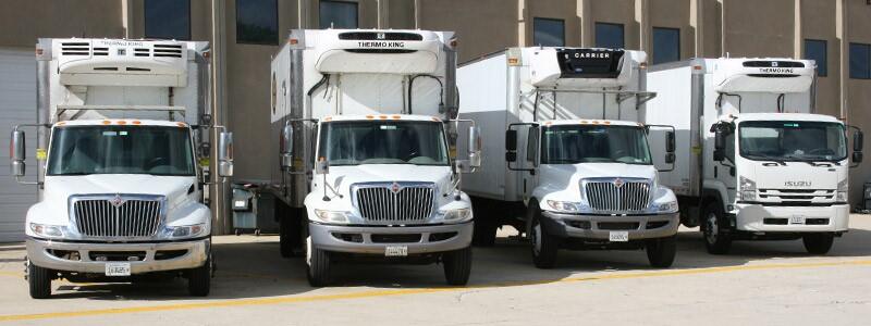 trucks lined up