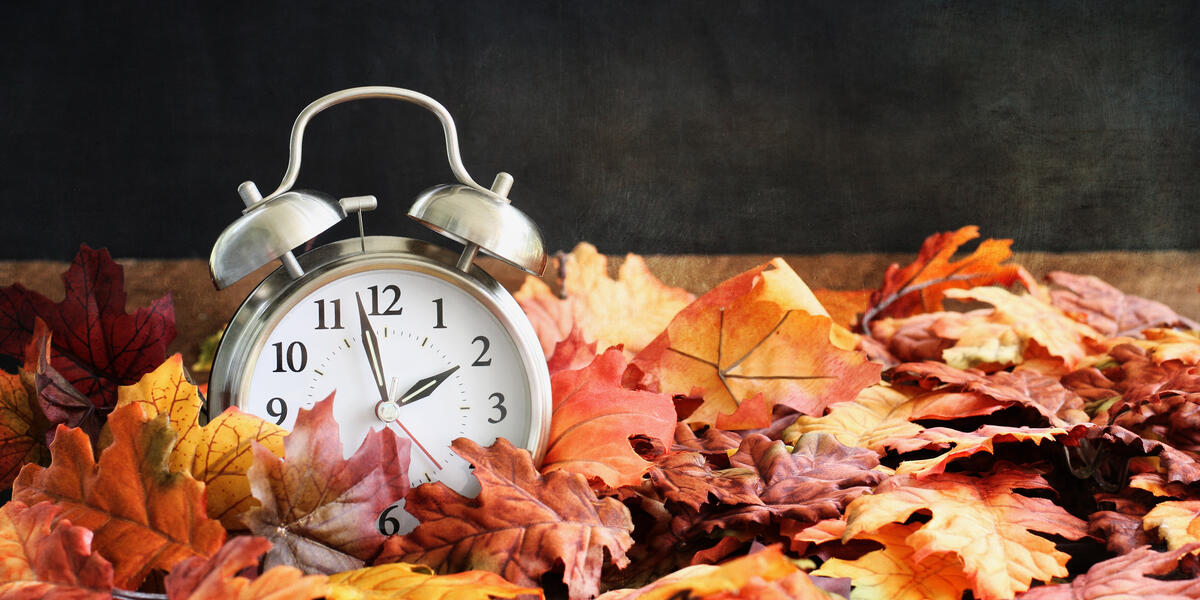 Daylight Savings 
